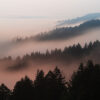 Foggy Sunset from Mt Tam