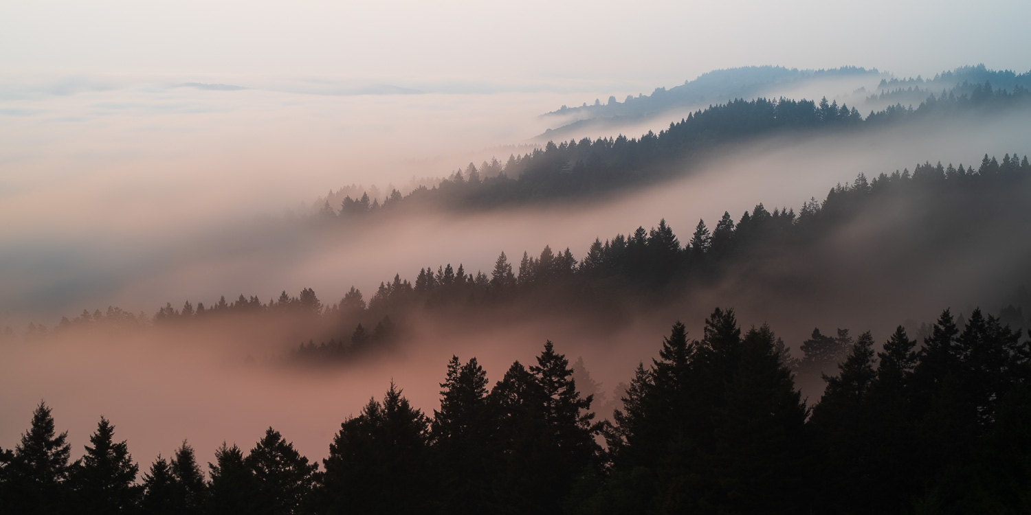 Foggy Sunset from Mt Tam