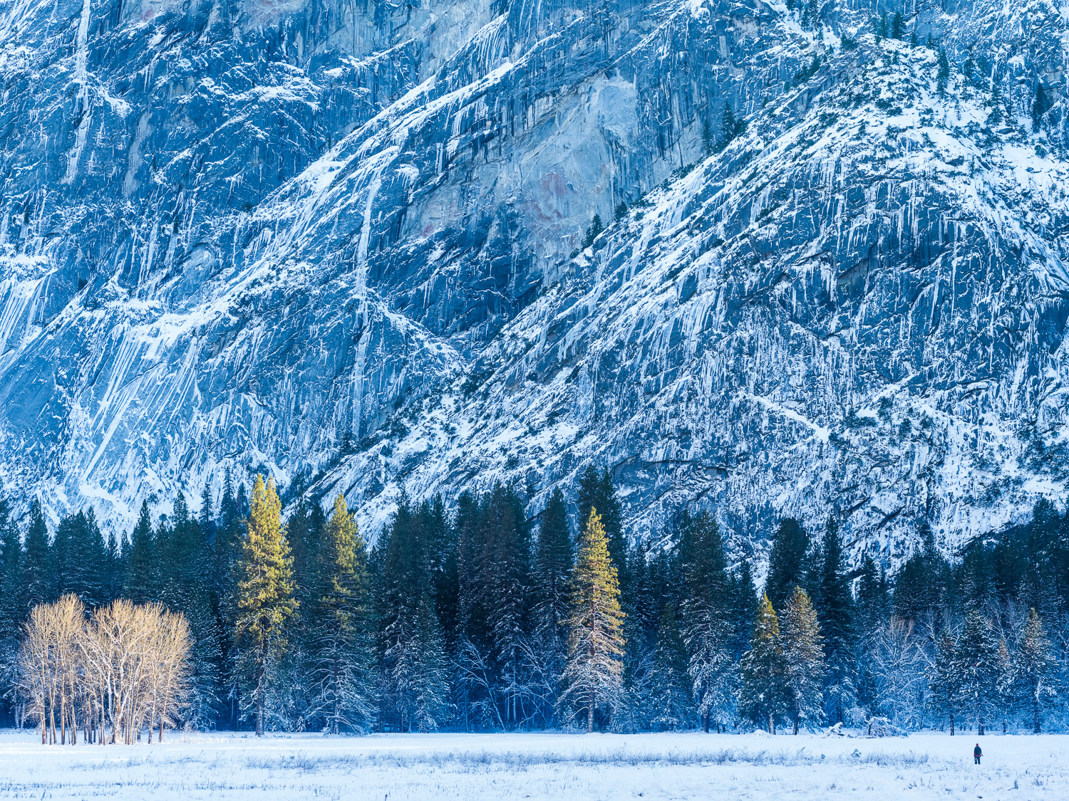 Photo of a snowy meadow below icy and snowy granite walls at Yosemite National Park